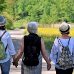 menopausa