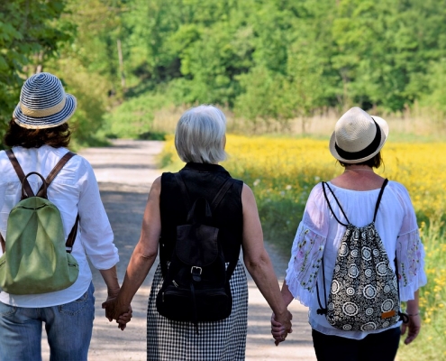 menopausa